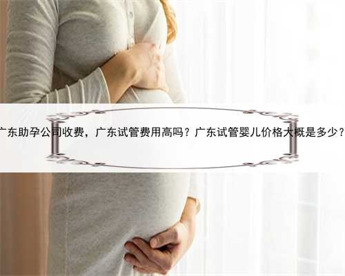 广东助孕公司收费，广东试管费用高吗？广东试管婴儿价格大概是多少？